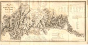 Baron Forresters kort over Dourodalen fra 1843 - indrammet